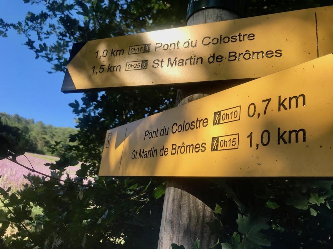 Le Colostre T2 Saint-Martin-de-Bromes Bagian luar foto